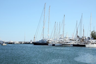 Photo of Picturesque view of port with modern boats on sunny day