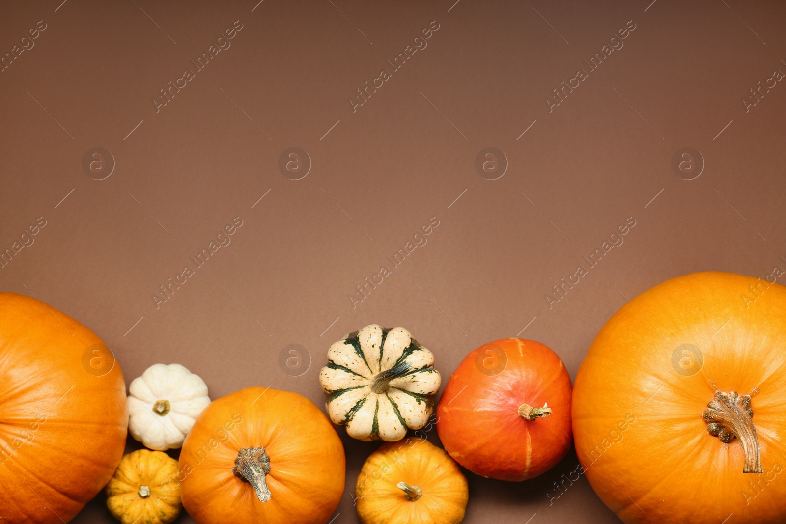 Photo of Thanksgiving day. Different pumpkins on light brown background, flat lay with space for text