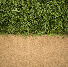 Fresh green grass and sand outdoors, top view