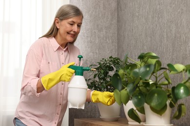 Happy housewife spraying green houseplants at home