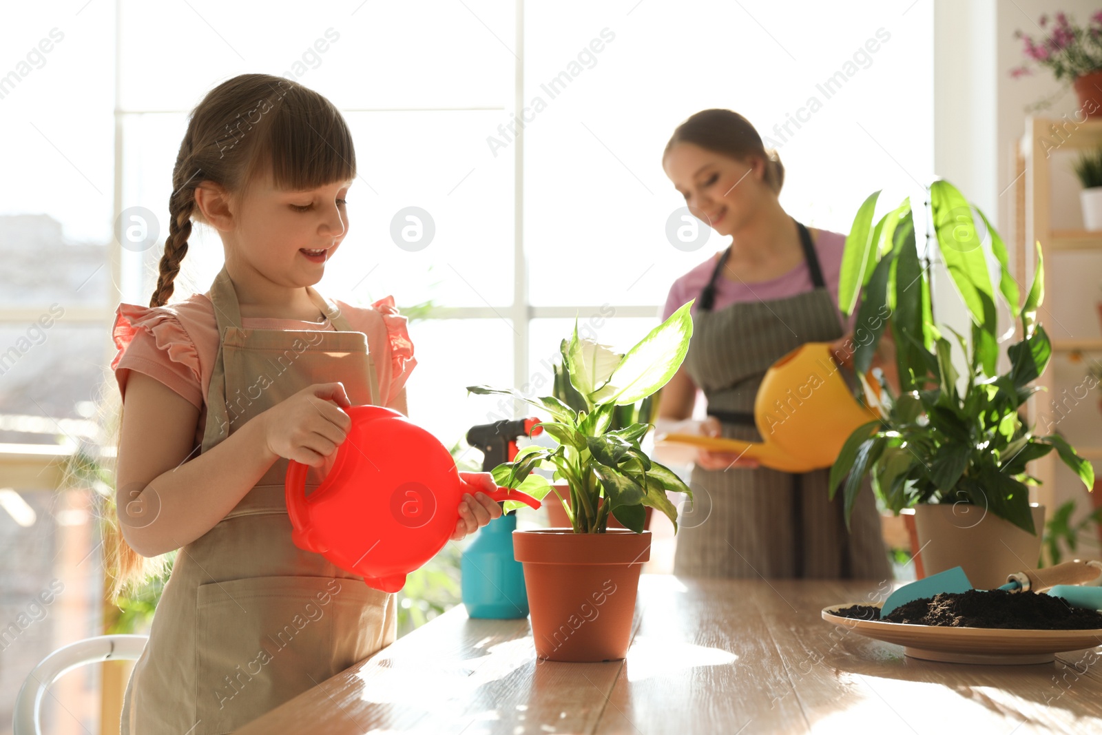 Photo of Mother and daughter watering home plants at wooden table indoors