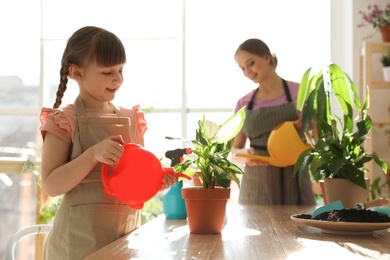 Mother and daughter watering home plants at wooden table indoors