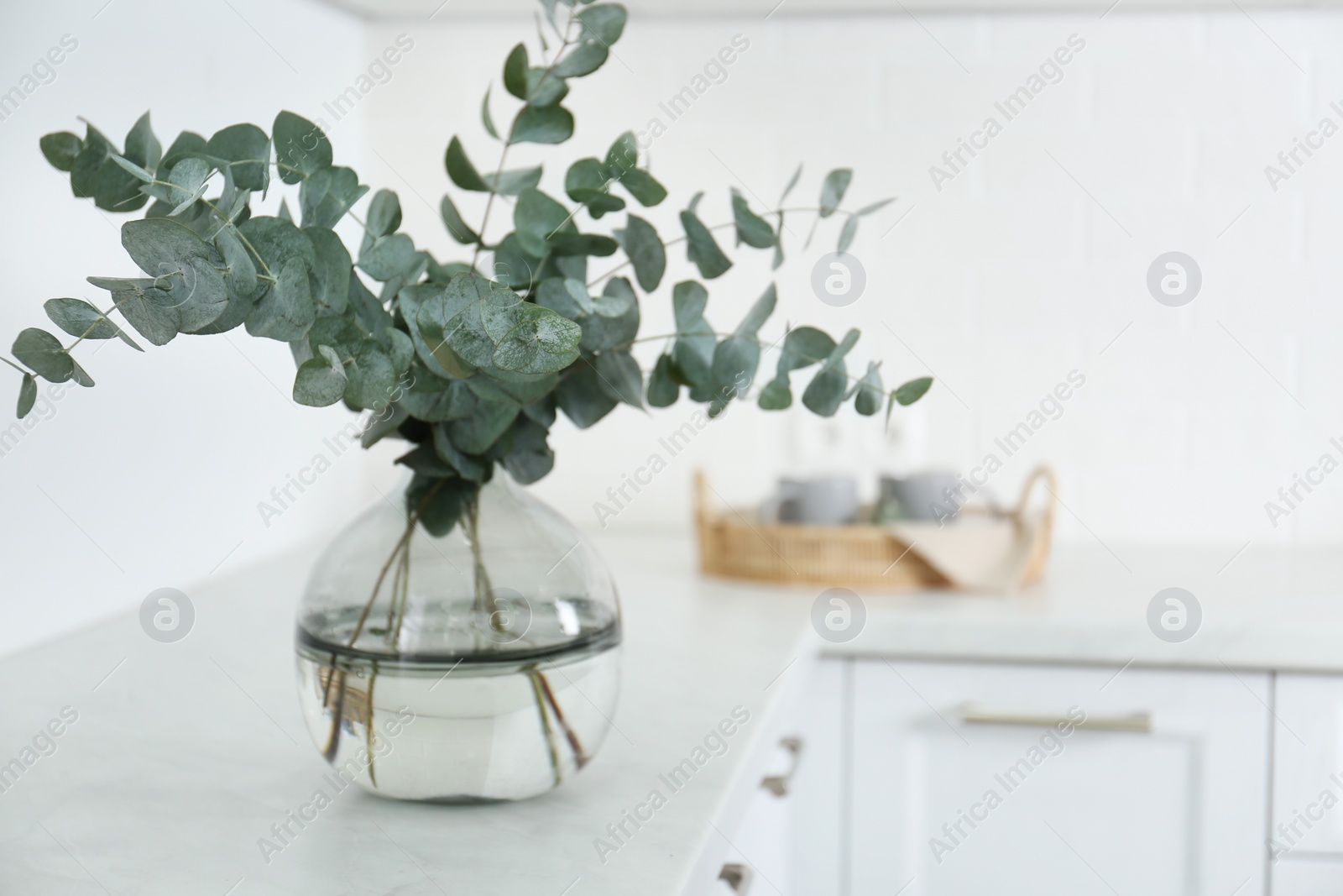 Photo of Beautiful eucalyptus branches on countertop in kitchen, space for text. Interior element