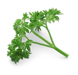 Fresh green parsley on white background