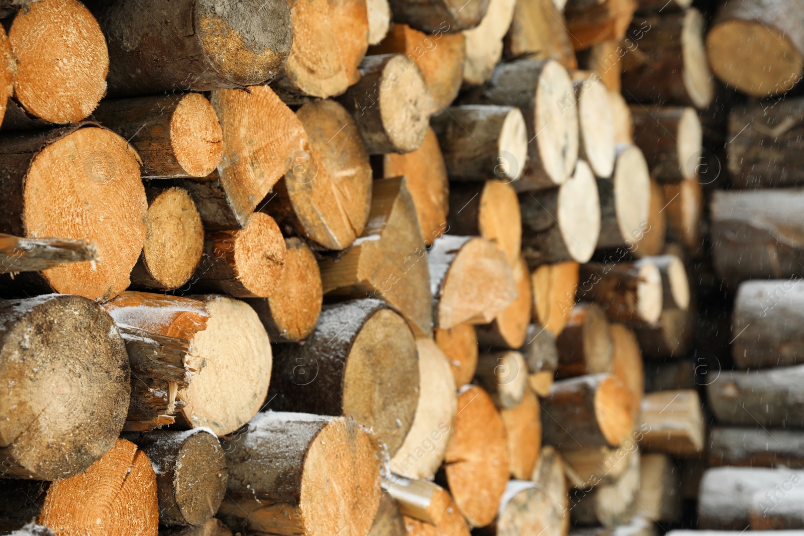 Photo of Stacked firewood with snow as background, closeup. Heating house in winter