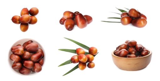 Image of Set with fresh ripe palm oil fruits on white background. Banner design