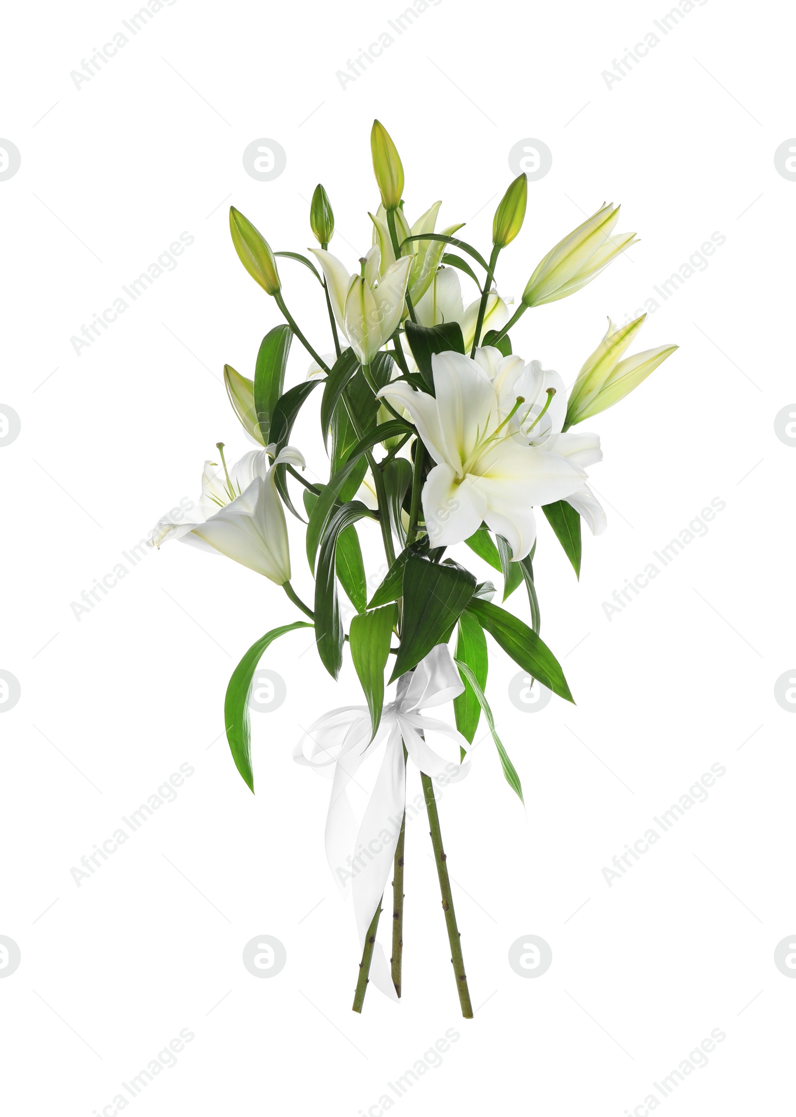 Photo of Beautiful bouquet of lily flowers tied with ribbon isolated on white