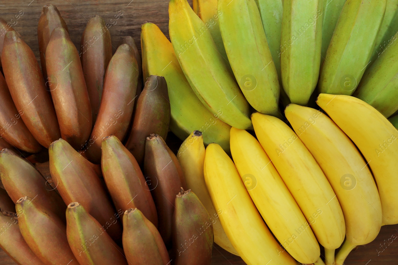 Photo of Different sorts of bananas on wooden table, top view