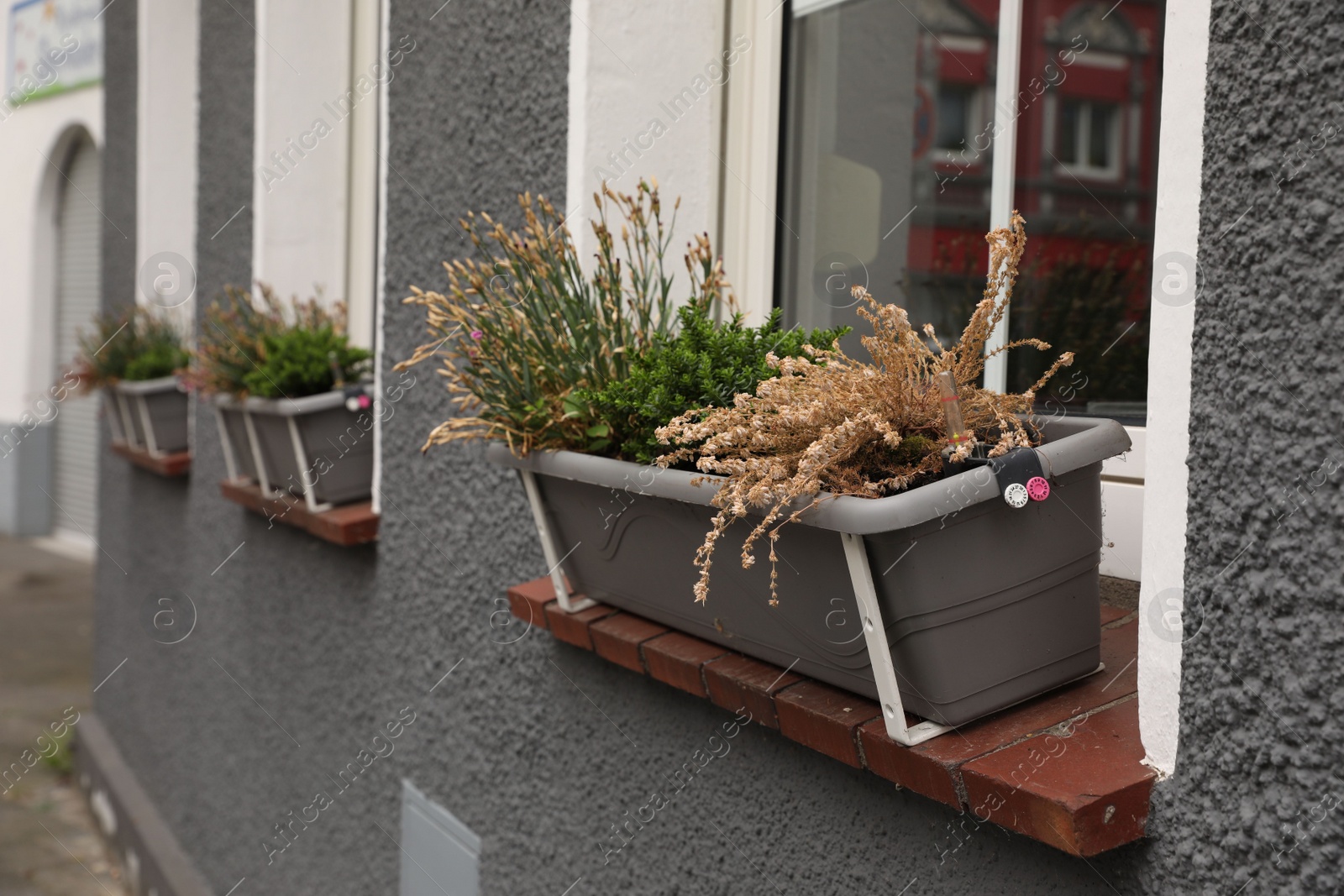 Photo of Exterior of beautiful apartment building with flowers on windowsills