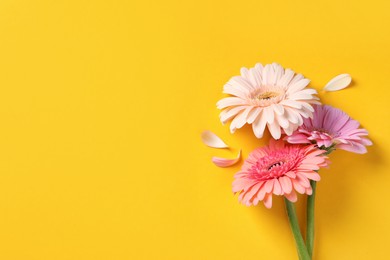 Photo of Beautiful gerbera flowers and petals on yellow background, flat lay. Space for text