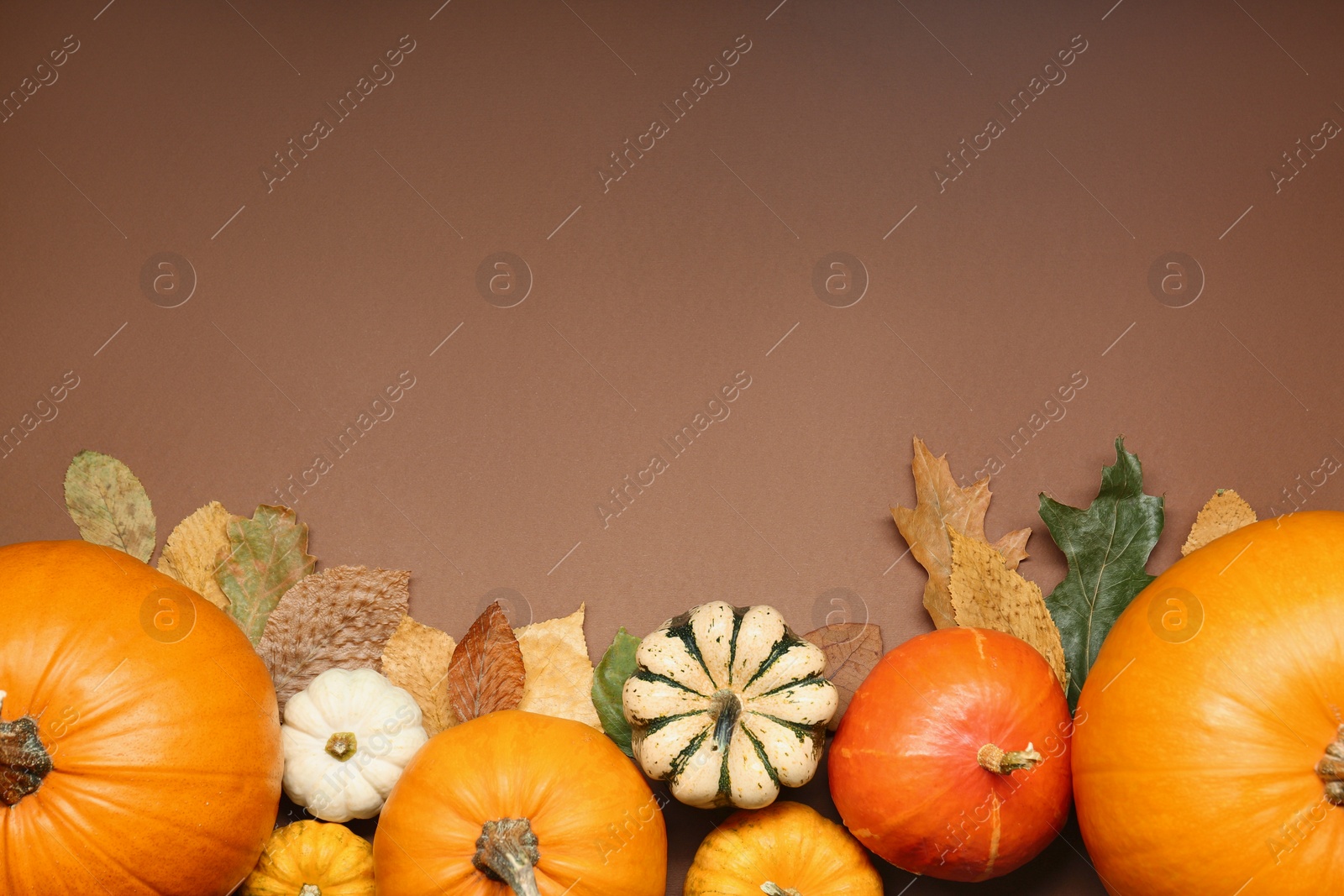 Photo of Thanksgiving day. Flat lay composition with pumpkins and different leaves on light brown background, space for text