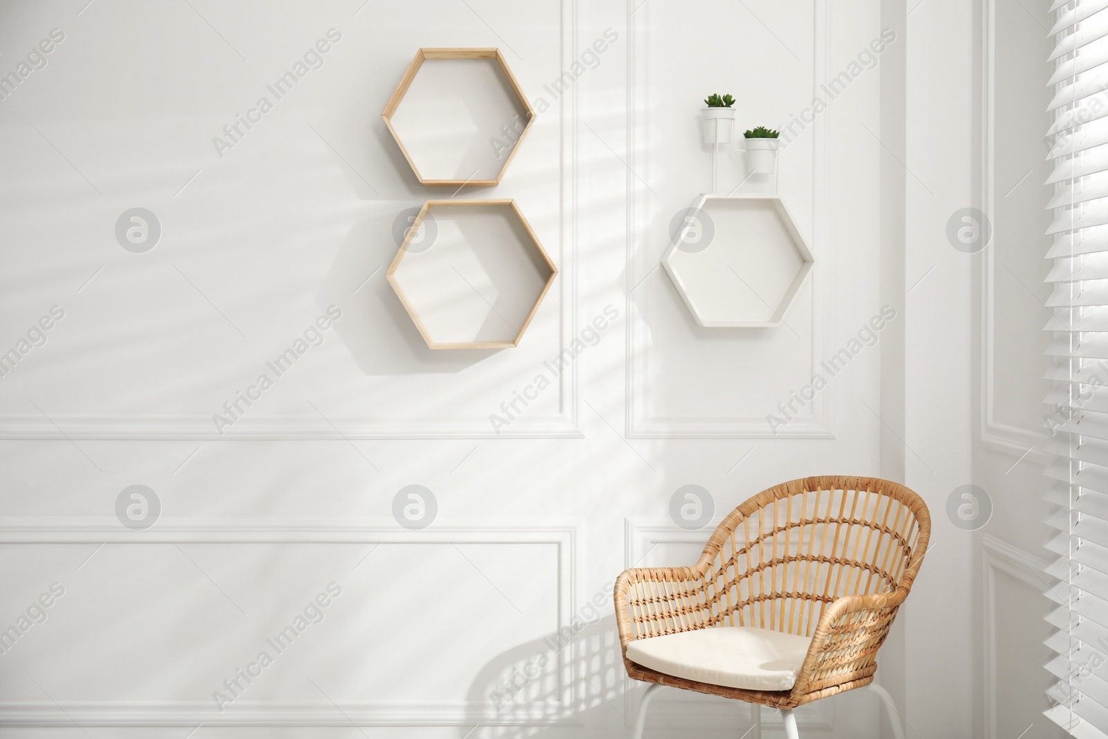 Photo of Honeycomb shaped shelves with plants on white wall indoors