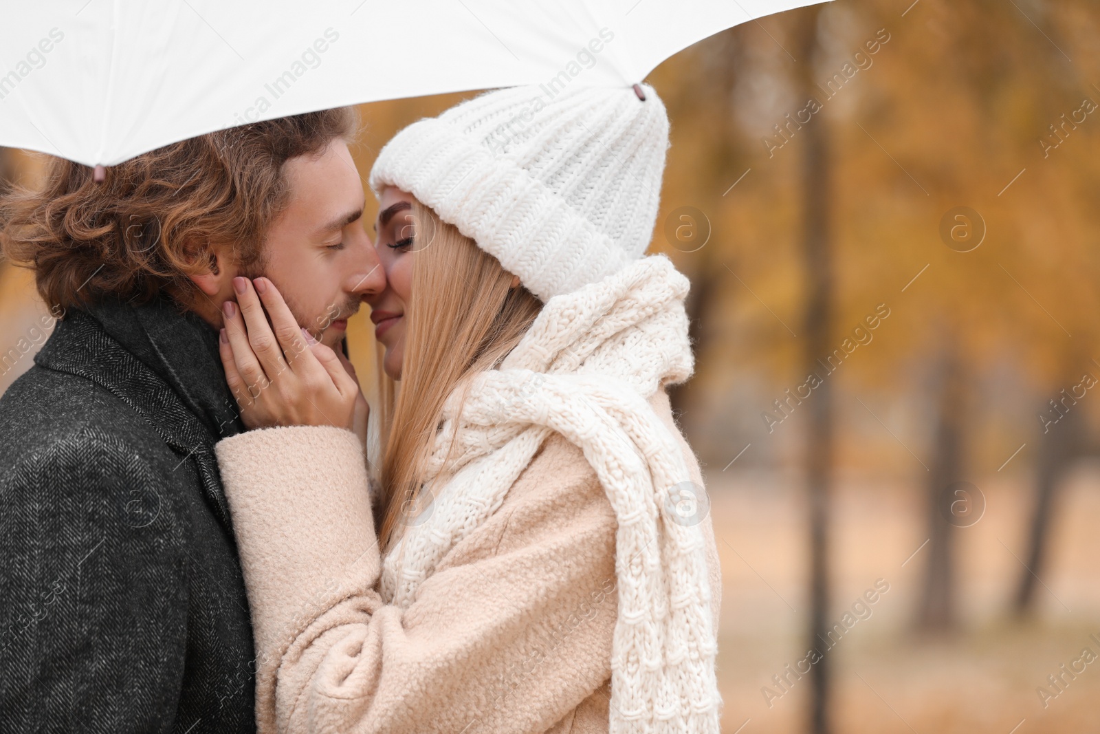 Photo of Young romantic couple with umbrella outdoors on autumn day