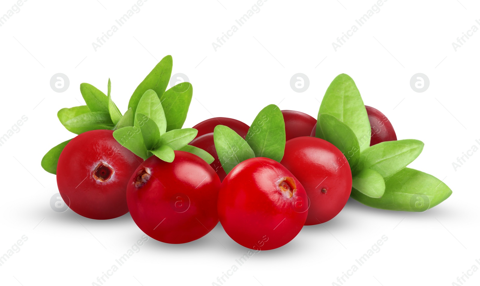 Image of Fresh ripe cranberries with leaves isolated on white