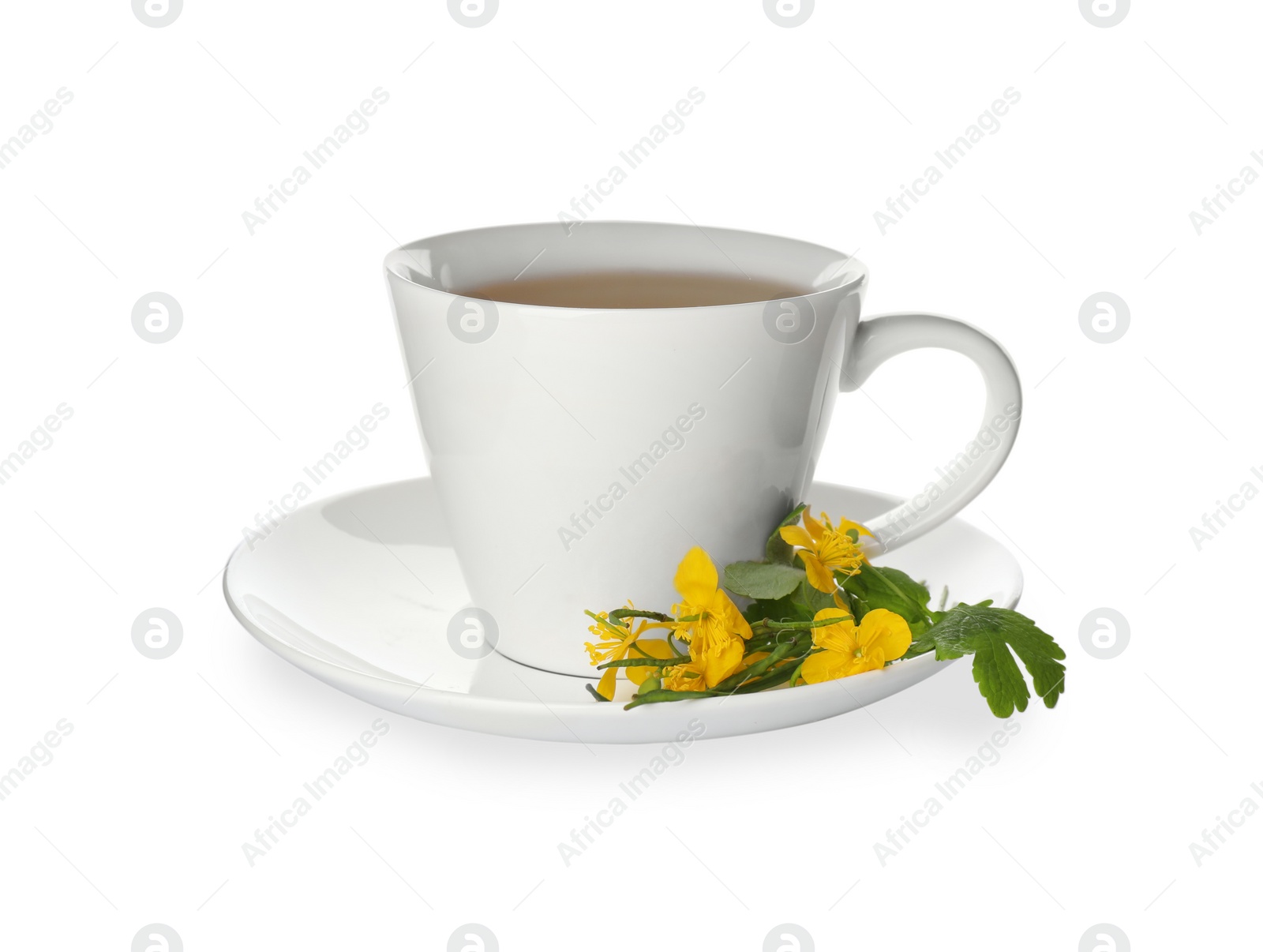 Photo of Cup of aromatic celandine tea and flowers on white background