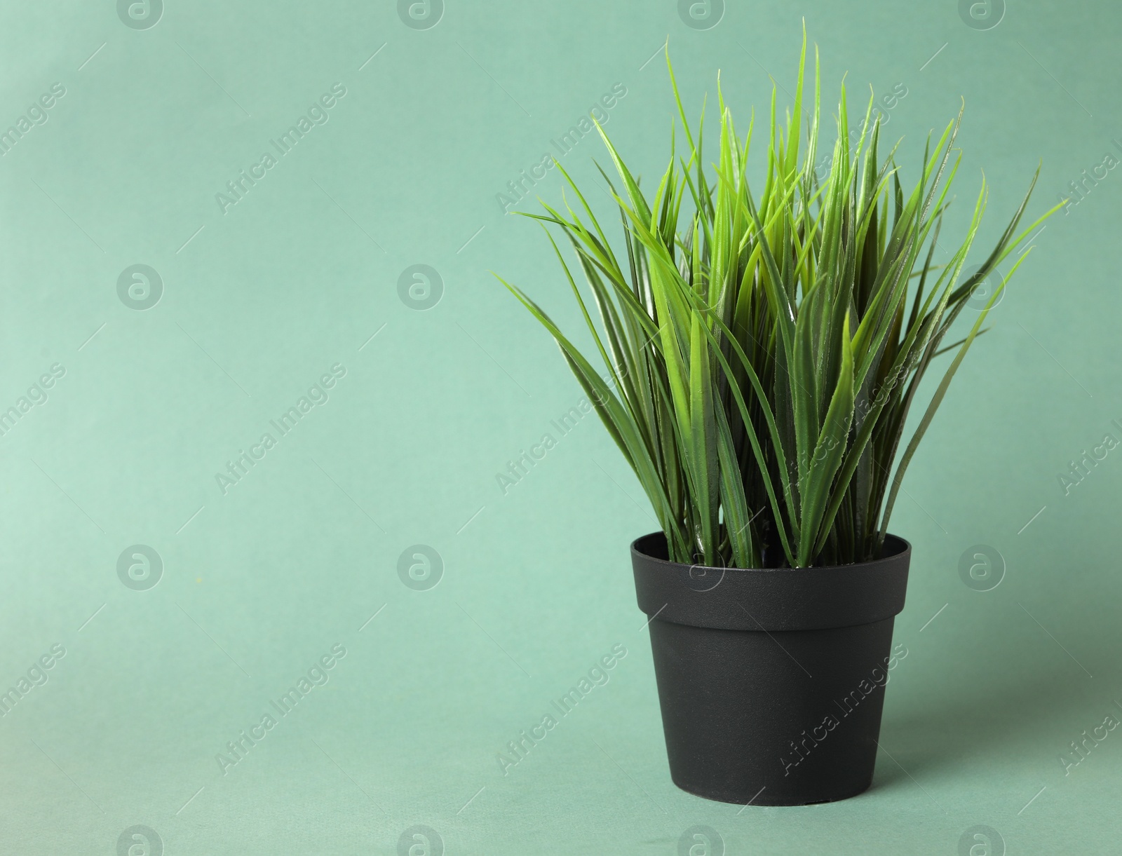 Photo of Beautiful artificial plant in flower pot on color background, space for text