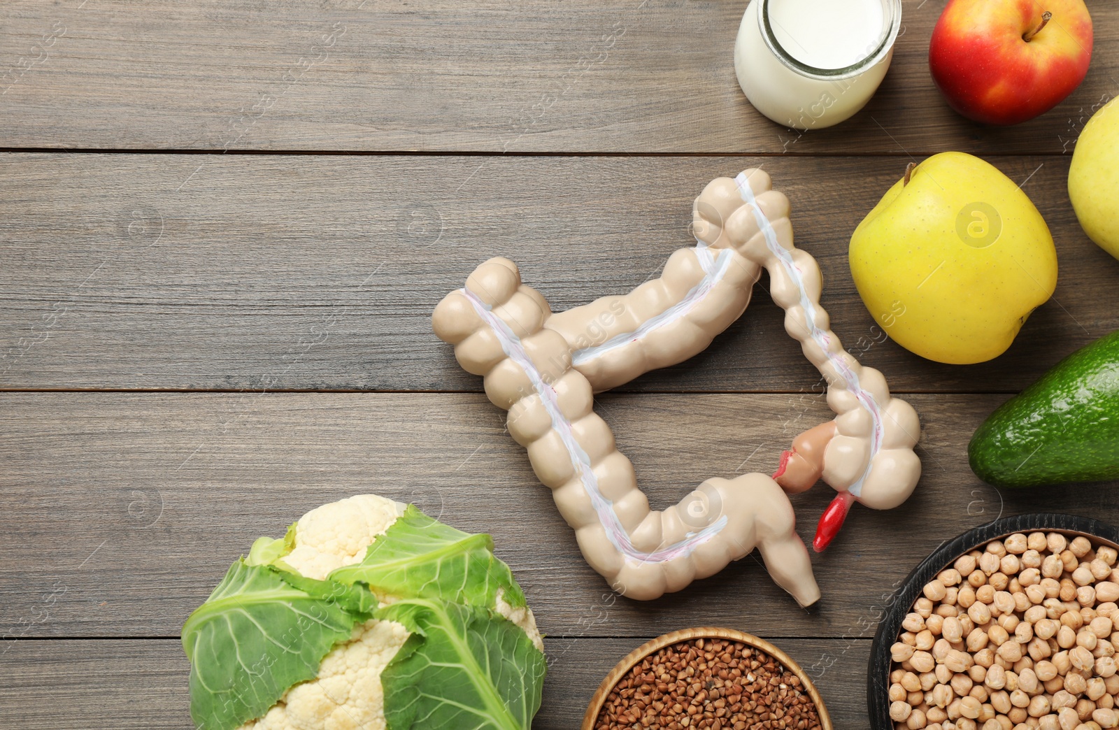 Photo of Layout of intestine model and products to help digestion on wooden table, top view. Space for text