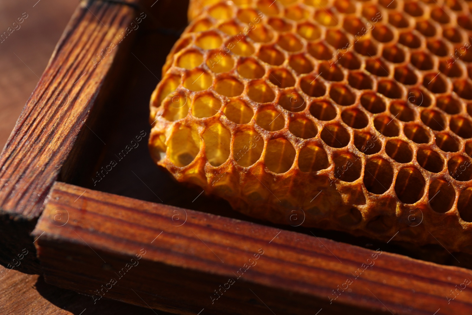 Photo of Closeup view of uncapped filled honeycomb frame