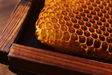 Closeup view of uncapped filled honeycomb frame