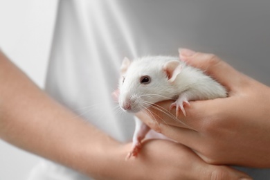 Young woman holding cute small rat, closeup