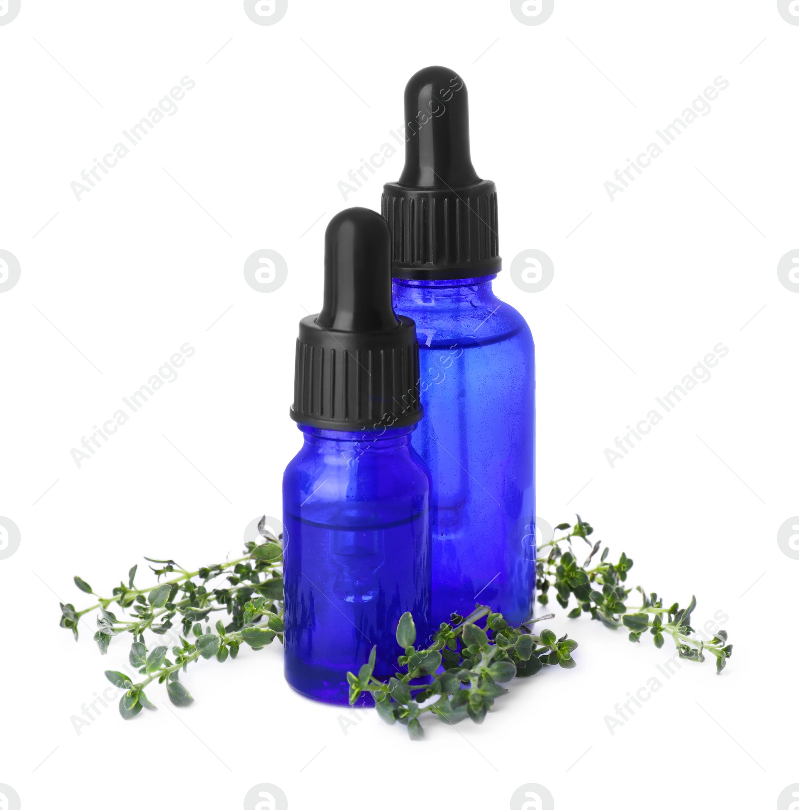 Photo of Bottles of thyme essential oil and fresh plant isolated on white