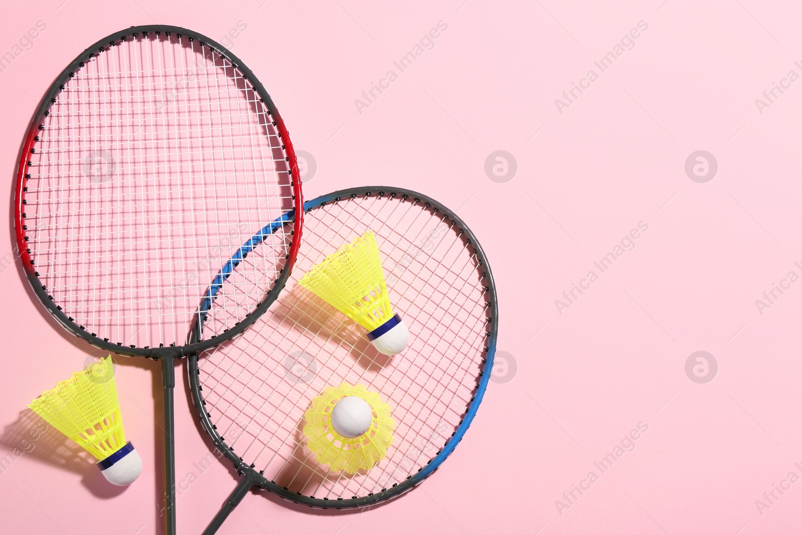 Photo of Badminton rackets and shuttlecocks on pink background, flat lay. Space for text