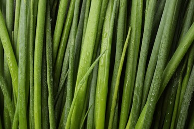 Photo of Fresh green spring onions with water drops as background, top view