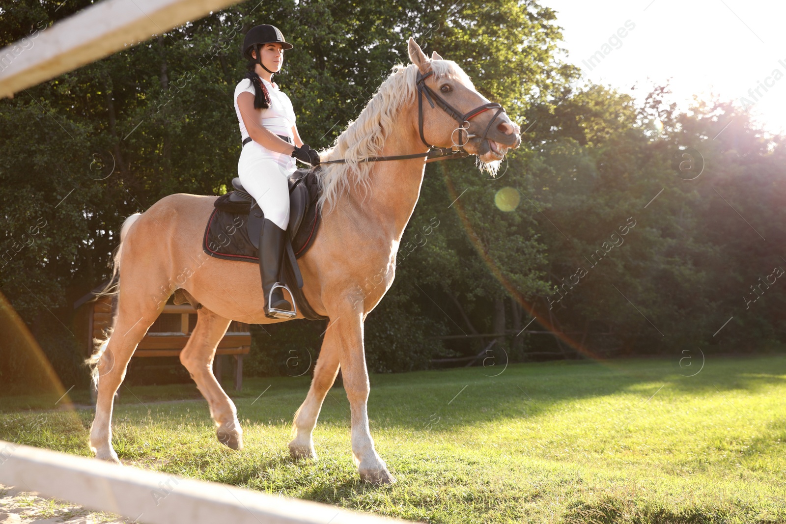 Photo of Young woman in equestrian suit riding horse outdoors on sunny day. Beautiful pet