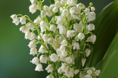 Beautiful lily of the valley flowers on blurred green background, closeup