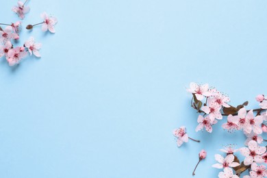 Photo of Beautiful spring tree blossoms on light blue background, flat lay. Space for text
