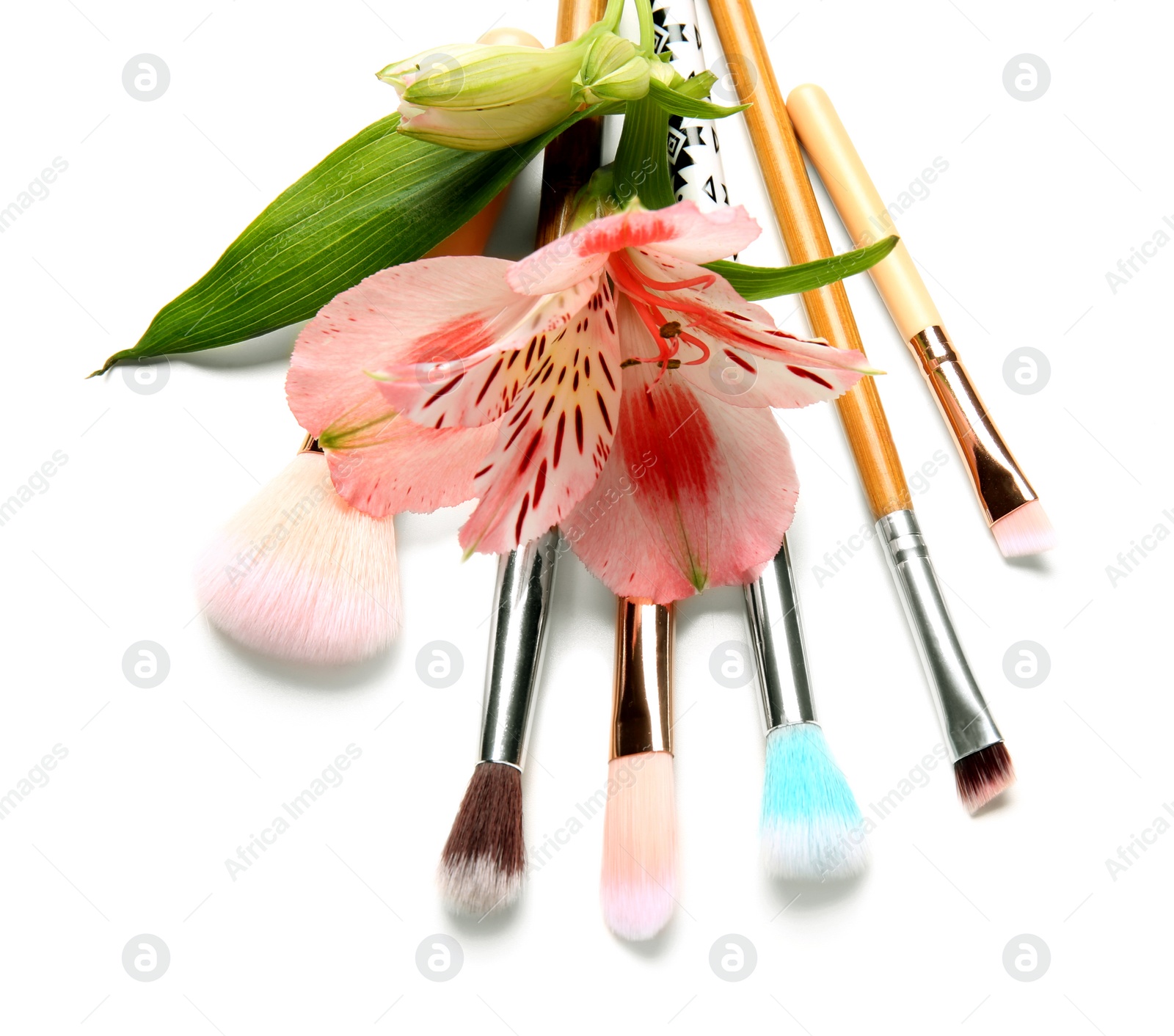 Photo of Makeup brushes of professional artist with flower on white background