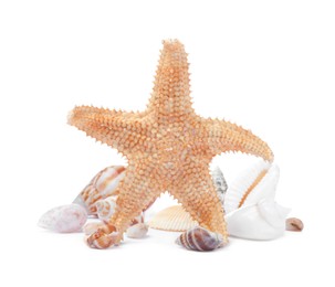 Photo of Beautiful sea star and seashells on white background