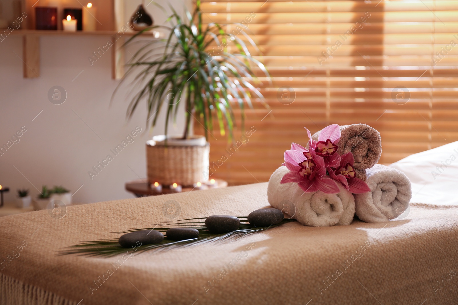 Photo of Beautiful spa accessories in massage room, space for text