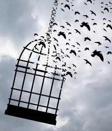 Image of Freedom. Black cage turning into birds. Released birds flying into sky