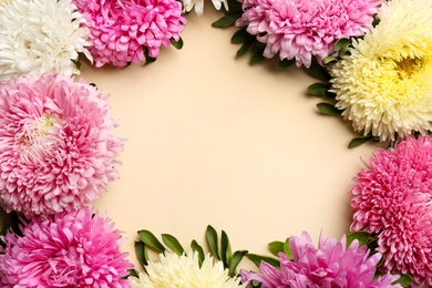Frame of beautiful asters and space for text on beige background, flat lay. Autumn flowers