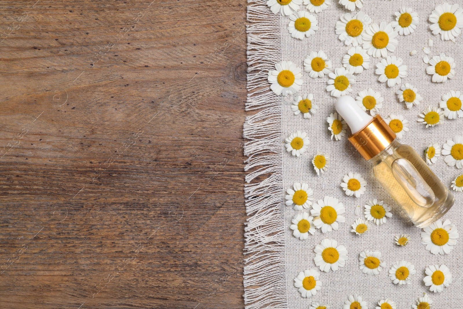 Photo of Chamomile oil and flowers on wooden table, top view. Space for text