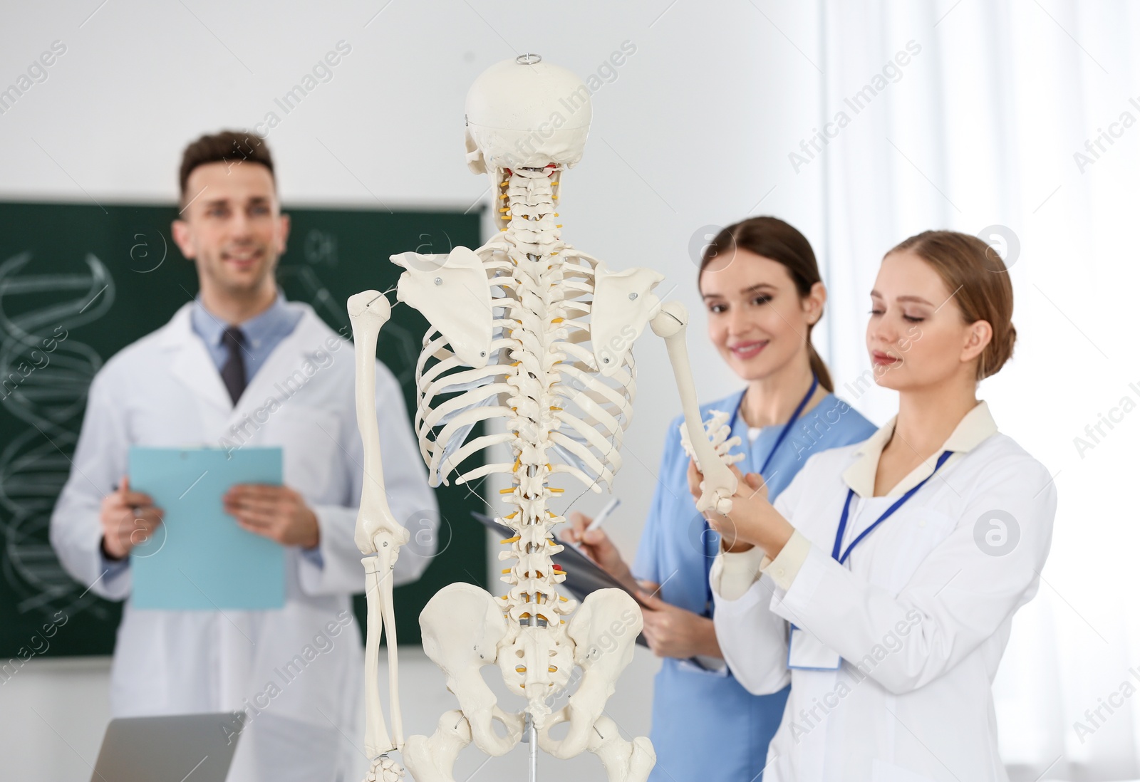 Photo of Medical students studying human skeleton anatomy in classroom