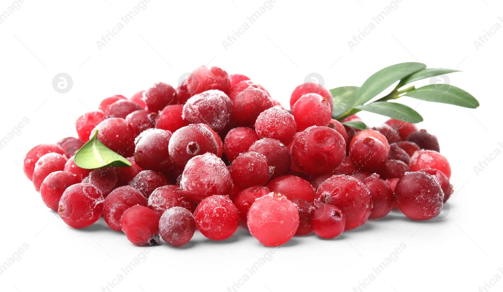 Photo of Frozen red cranberries and green leaves isolated on white