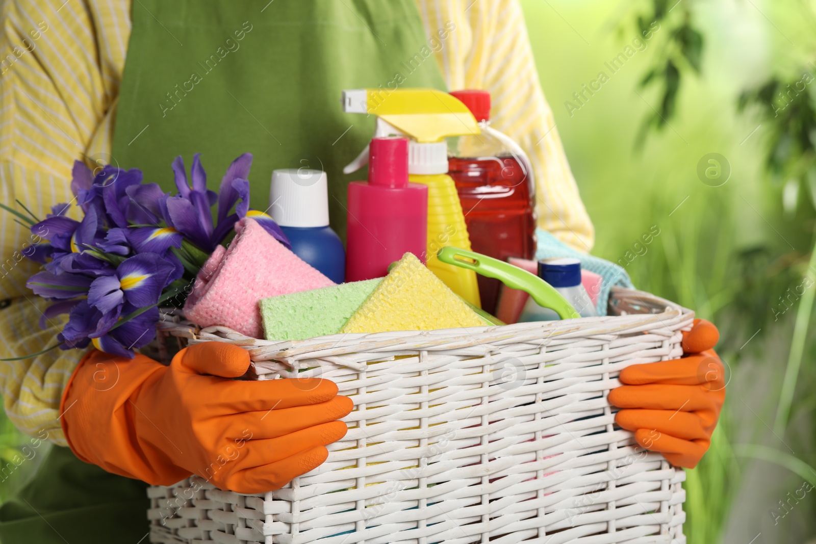 Photo of Woman holding basket with spring flowers and cleaning supplies outdoors, closeup