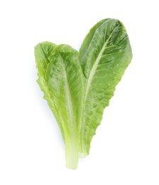 Fresh leaves of salad greens on white background