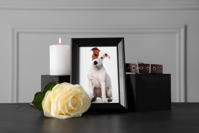 Photo of Frame with picture of dog, collar, burning candle and rose on black table. Pet funeral