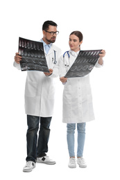 Orthopedists holding X-ray pictures on white background