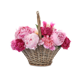 Photo of Beautiful peonies in wicker basket isolated on white