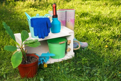 Photo of Pair of gloves, gardening tools, potted plant and rubber boots on grass outdoors