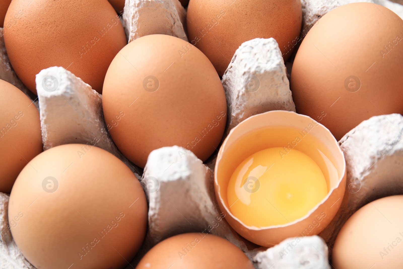 Photo of Raw chicken eggs in carton, closeup view