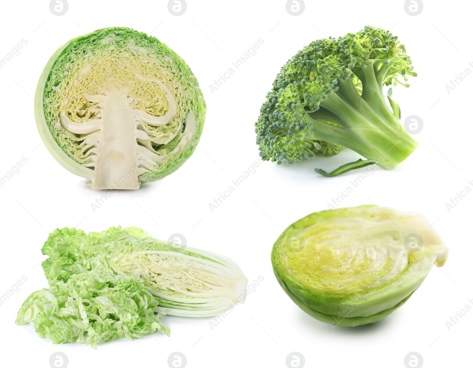 Image of Set with assortment of cabbages on white background