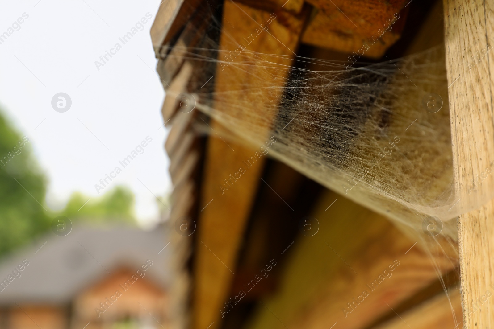 Photo of Cobweb on wooden building outdoors, closeup. Space for text