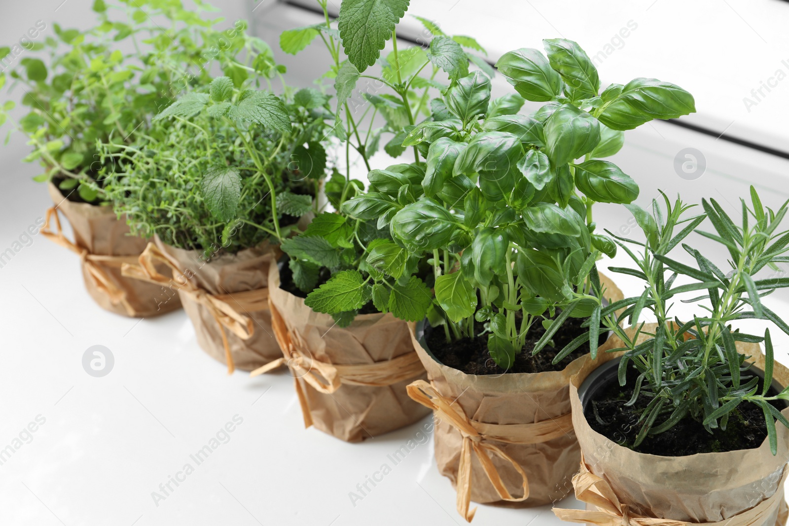 Photo of Different fresh potted herbs on windowsill indoors, closeup