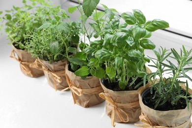 Different fresh potted herbs on windowsill indoors, closeup