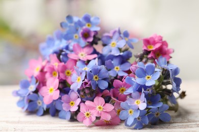 Photo of Beautiful blue and pink Forget-me-not flowers on white table